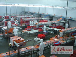 雙匯發(fā)展戰(zhàn)略解讀 質(zhì)量先行抵住成本壓力，今年銷售目標(biāo)劍指360億